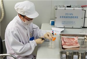 咨詢策劃服務的精準供應 如何在youbian.com找到優質信息資源